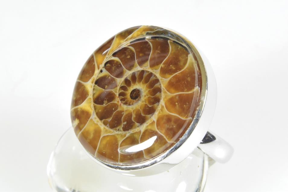 Ammonite Cabochon Ring US size 7