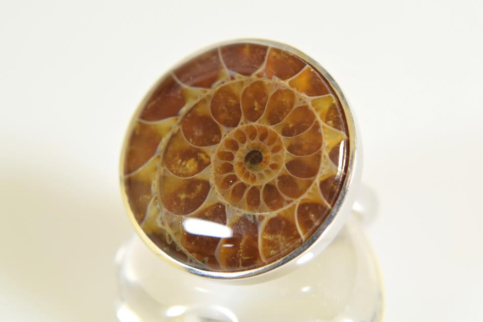 Ammonite Cabochon Ring 11.1grams