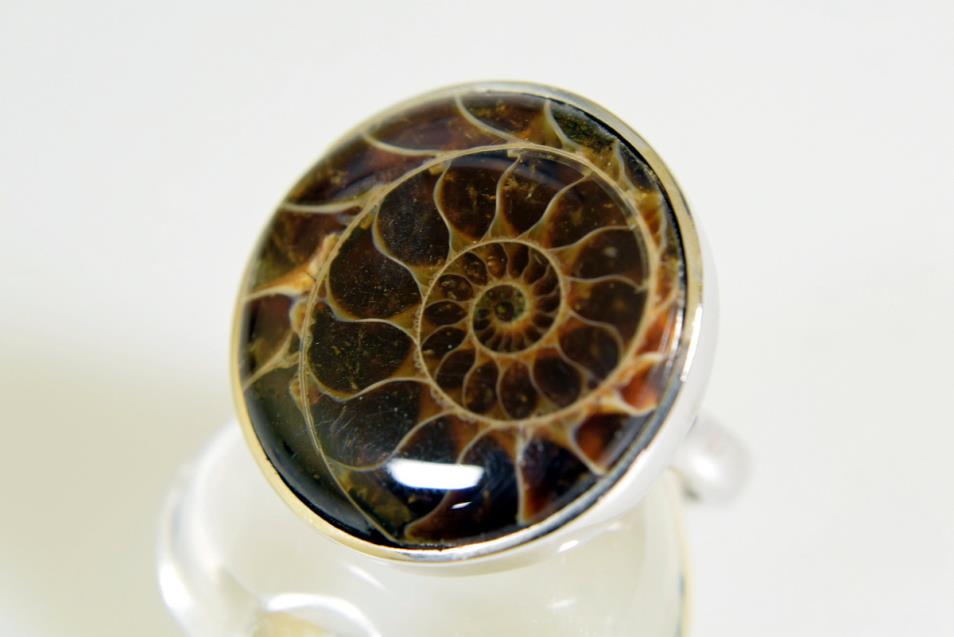 Ammonite Cabochon Ring 11.12grams