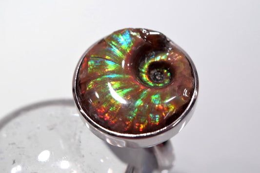 Iridescent Ammonite Round Ring 11grams