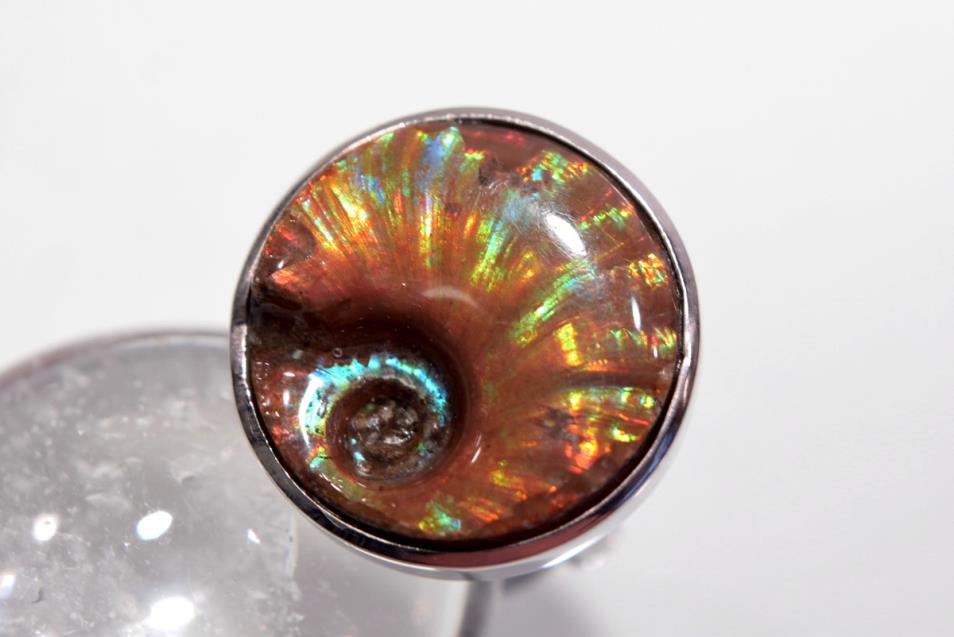 Iridescent Ammonite Round Ring 10.2grams