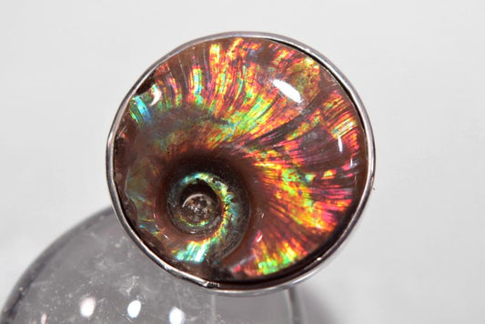 Iridescent Ammonite Round Ring 12.2grams