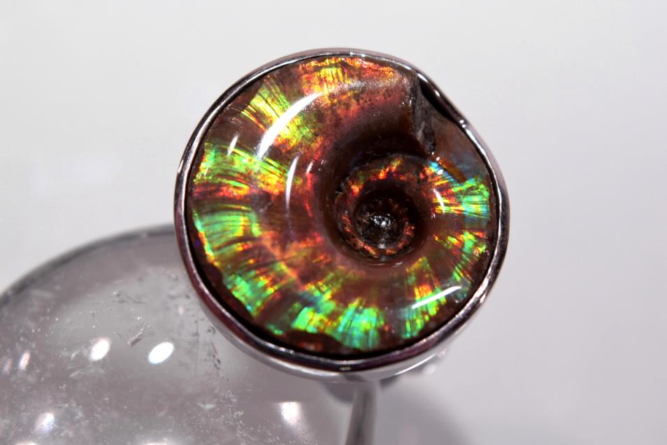 Iridescent Ammonite Round Ring 9grams