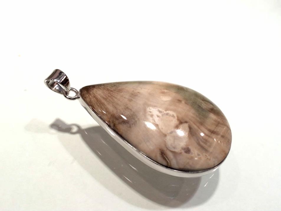 Fossil Wood Pendant 4.5cm