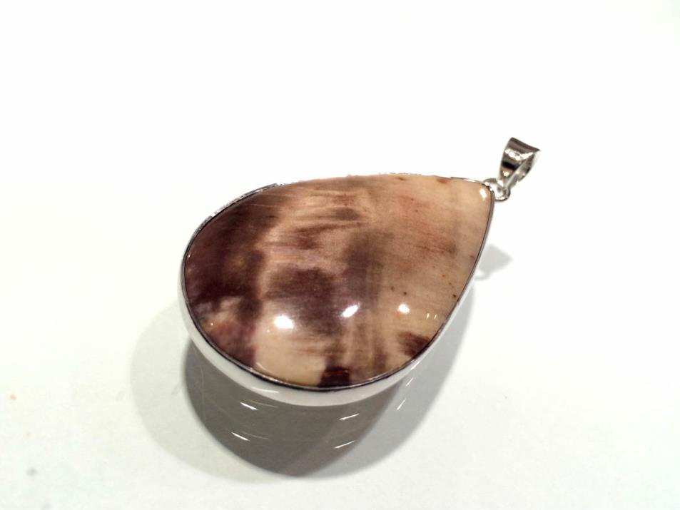 Fossil Wood Pendant 4.6cm