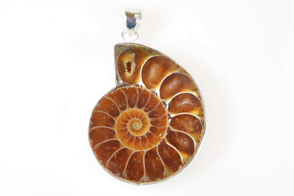 Ammonite Pendant Silver-Set Cut Half 12grams