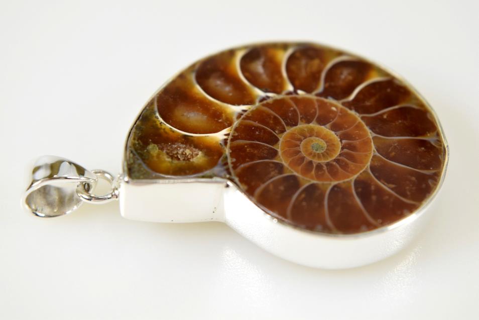 Ammonite Pendant Silver-Set Cut Half 12grams