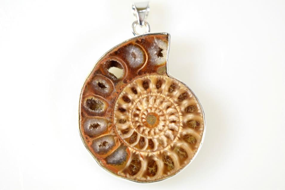 Ammonite Pendant Silver-Set Cut Half 13grams