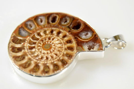 Ammonite Pendant Silver-Set Cut Half 13grams