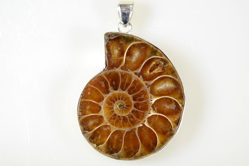 Ammonite Pendant Silver-Set Cut Half 13.6grams