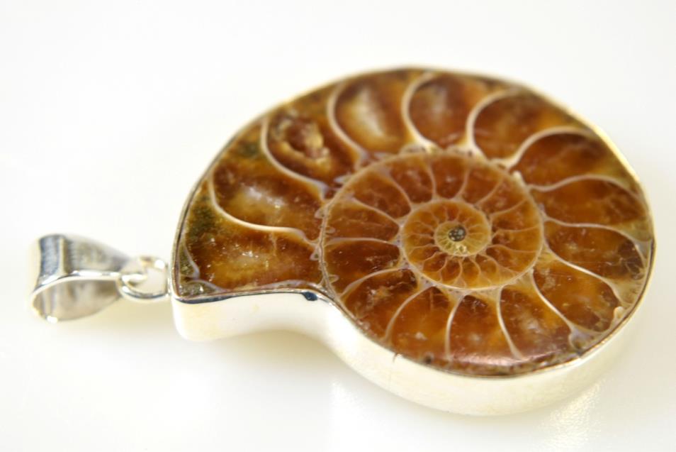 Ammonite Pendant Silver-Set Cut Half 13.6grams