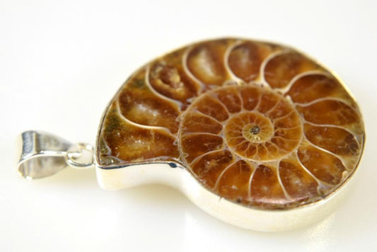 Ammonite Pendant Silver-Set Cut Half 13.6grams