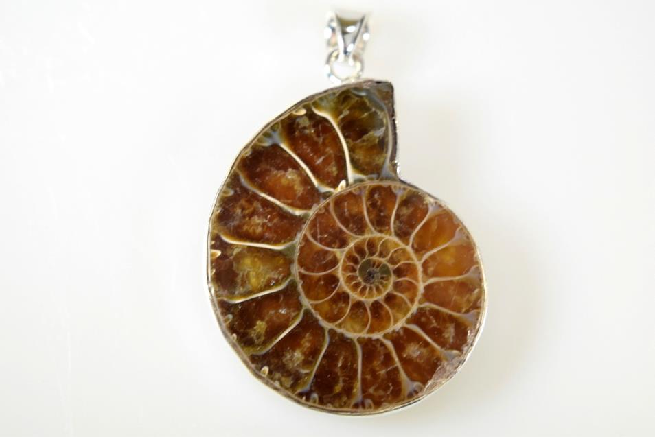 Ammonite Pendant Silver-Set Cut Half 12.8grams