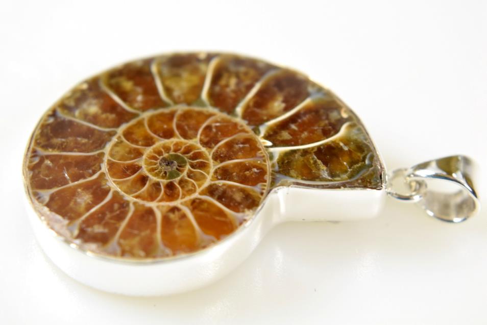 Ammonite Pendant Silver-Set Cut Half 12.8grams