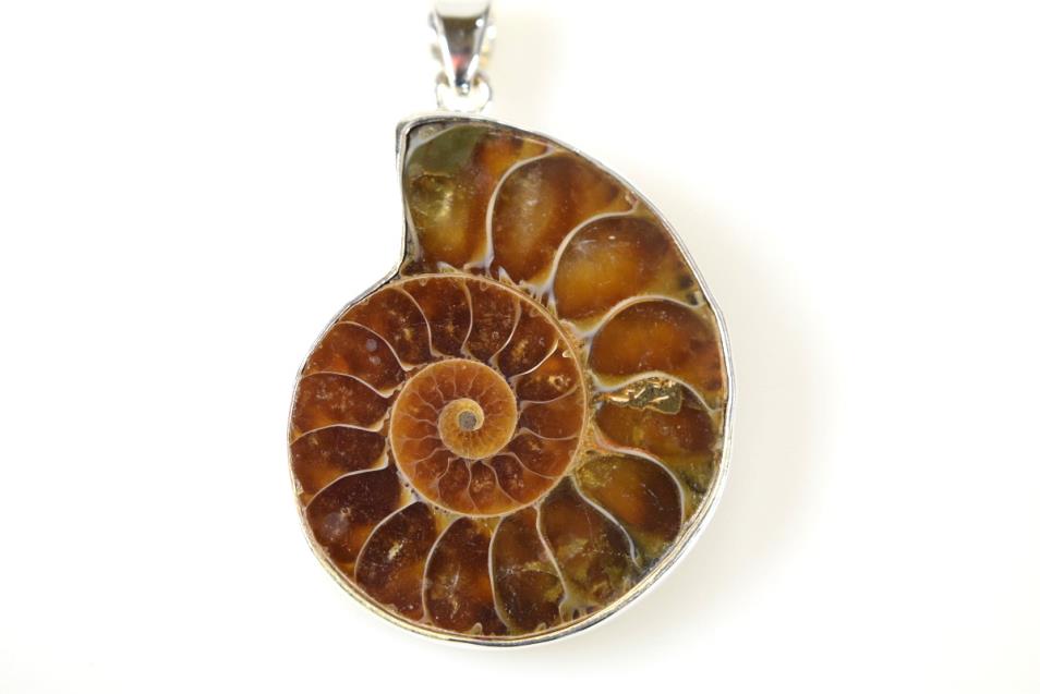 Ammonite Pendant Silver-Set Cut Half 15.5grams