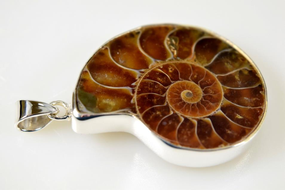 Ammonite Pendant Silver-Set Cut Half 15.5grams