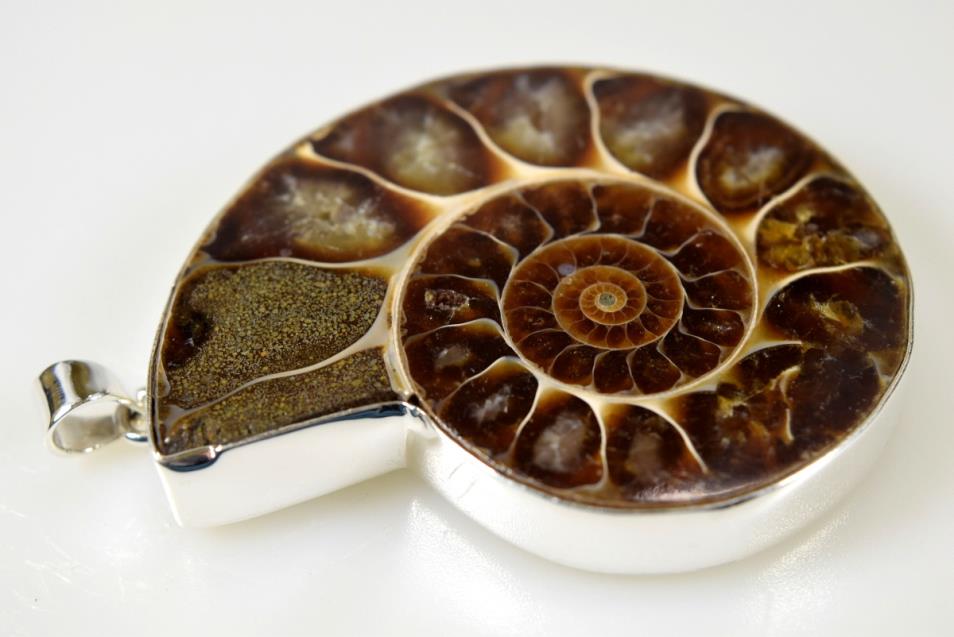 Large Ammonite Pendant Silver-Set Cut Half 40grams